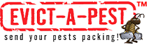 Evict-A-Pest termite logo